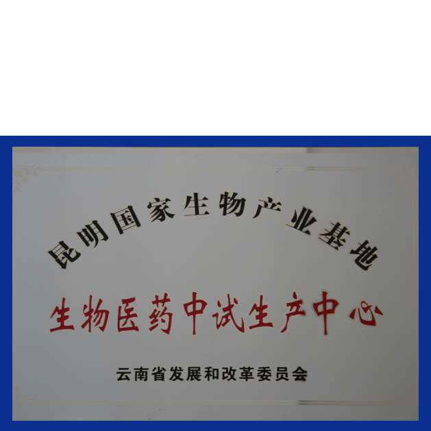 六台盒宝典资料
