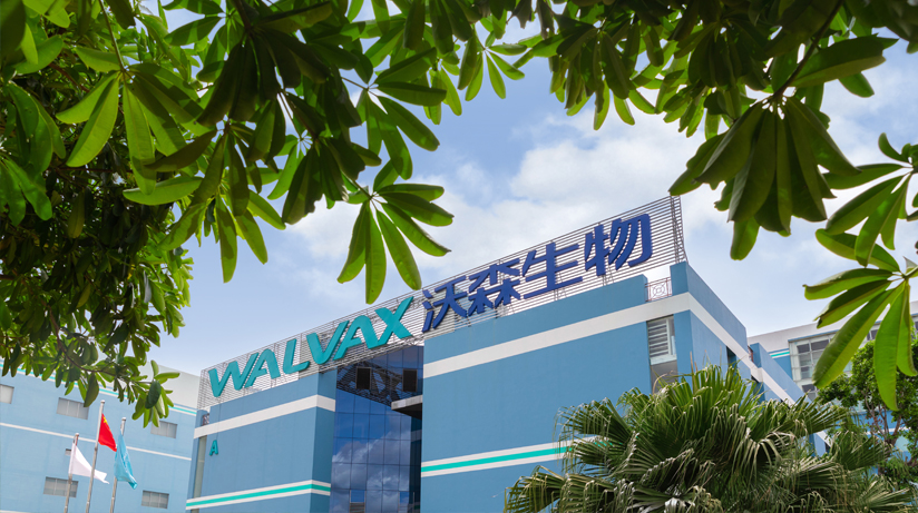 六台盒宝典资料