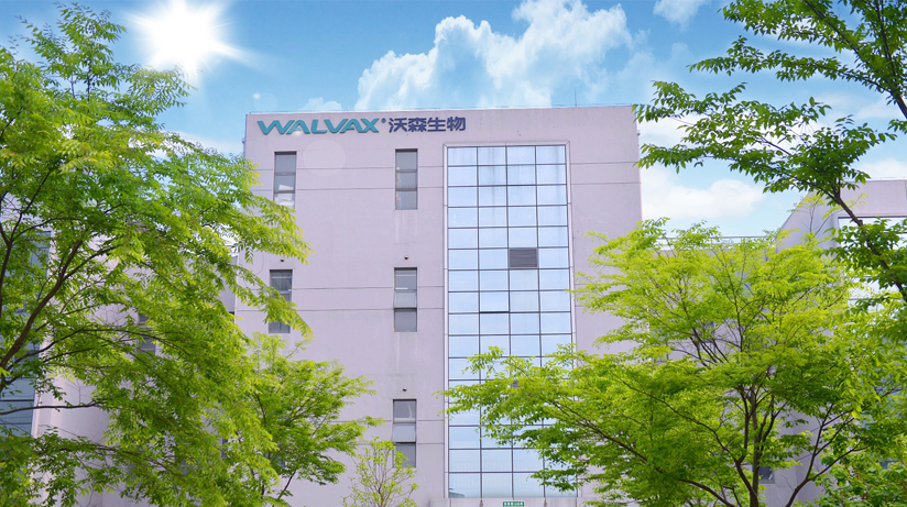 六台盒宝典资料